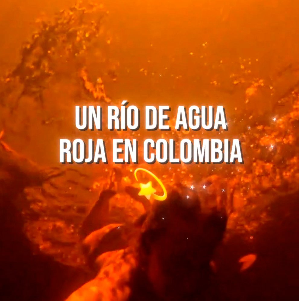 guainia naty late edición de video y creadora de contenido